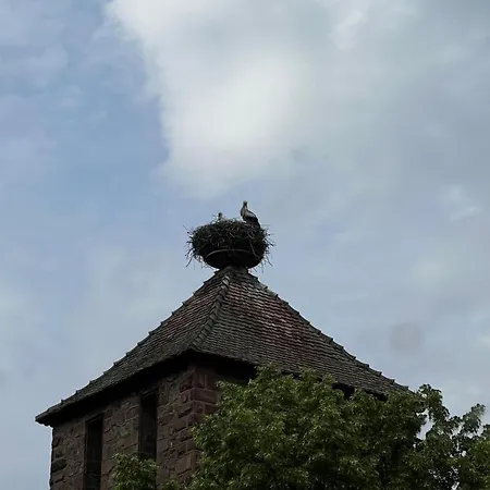 With Double Size Bed In Center