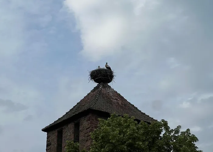 With Double Size Bed In Center